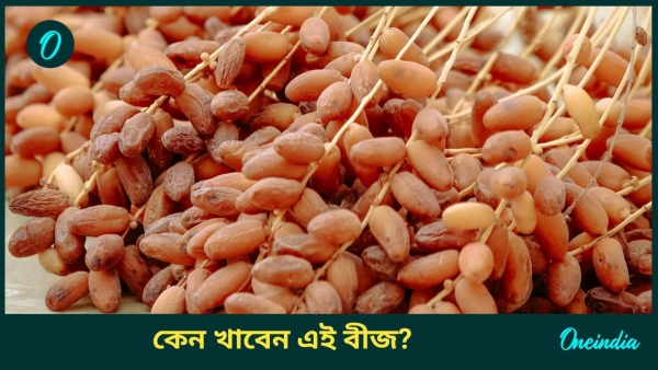 dates seed dates seed
