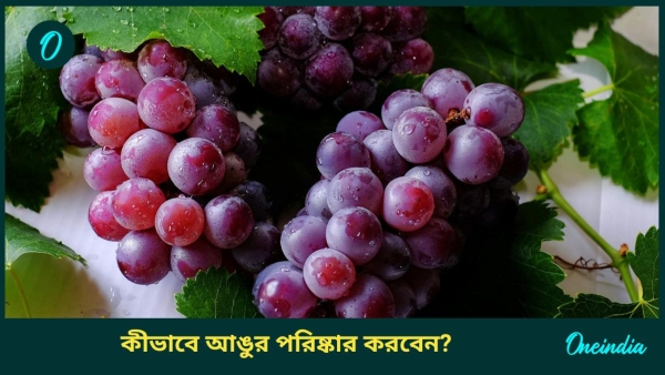 grapes grapes