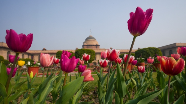 Rashtrapati Bhawan Rashtrapati Bhawan