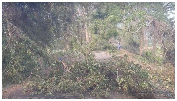 North bengal Storm Alert