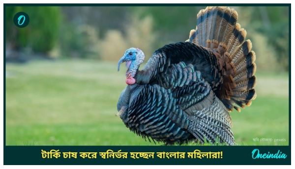 Low Invest Business For Women