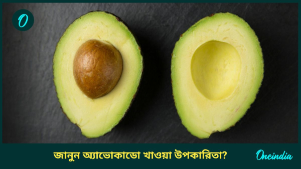 Avocado