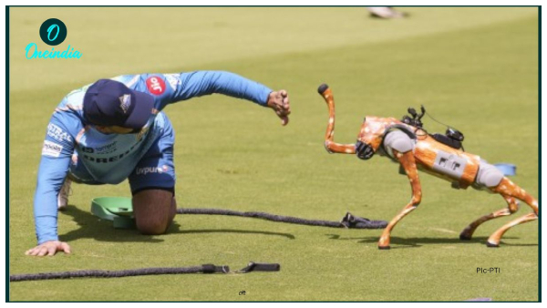 AI robot dog AI robot dog