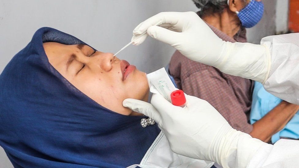 বেড স্ক্যাম বেড স্ক্যাম