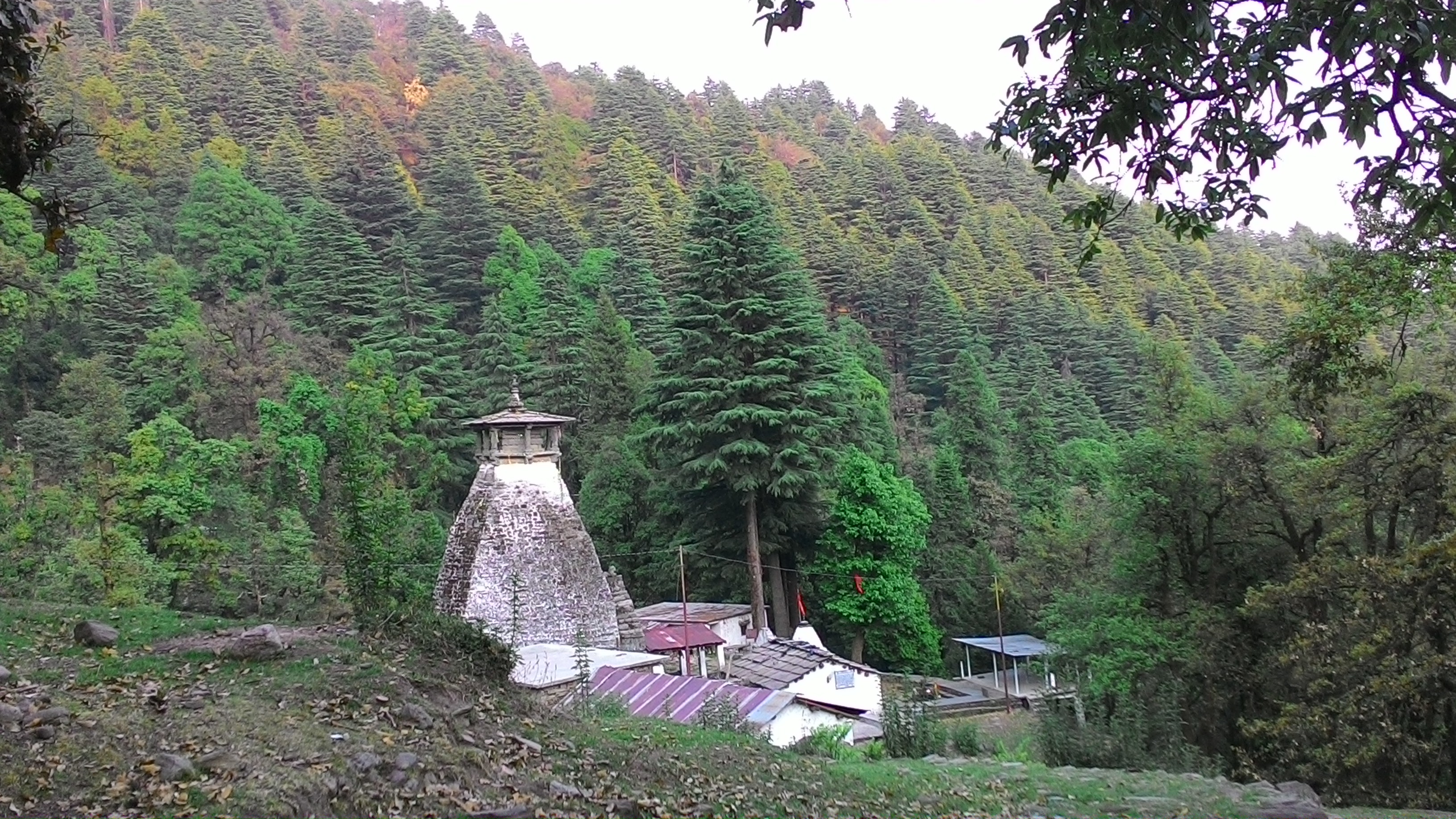Binsar Mahadev
