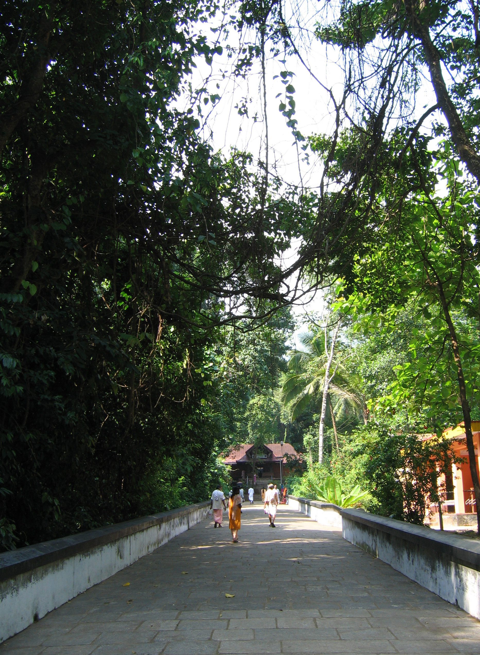 Kottiyoor Temple