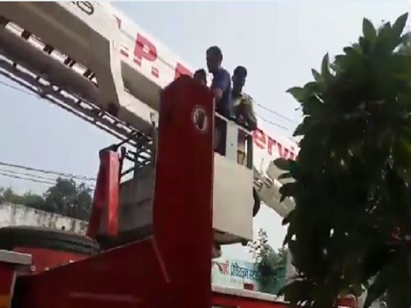 VIDEO: चीनी मांझे से घायल होकर कबूतर पेड़ पर लटका, यूपी पुलिस के जवानों ने ऐसे बचाई जान