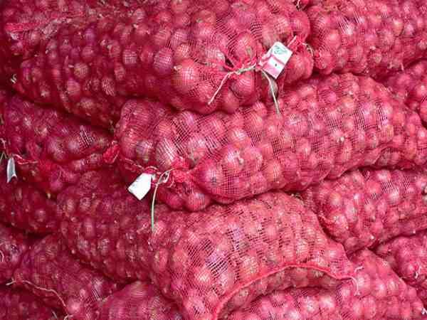 गुजरात में किसानों की आंखों से आंसू निकाल रहा प्याज, बिक रहा 55 पैसे किलो