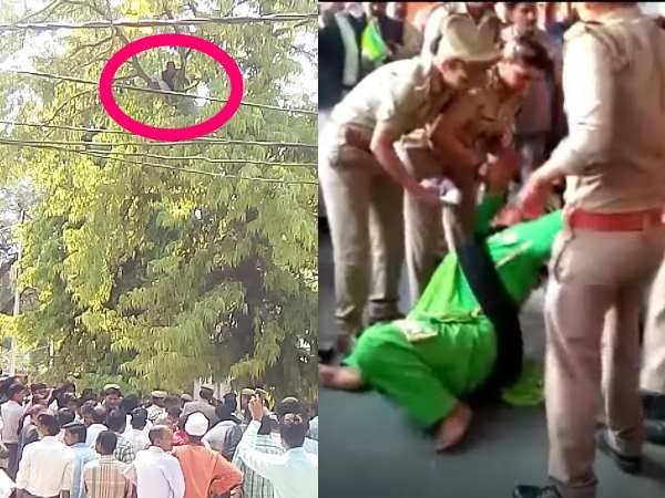 पेड़ पर चढ़कर एक प्रत्याशी ने पुलिस के उड़ाए होश, दूसरी ने फर्श पर लोटकर छुड़ाए पसीने