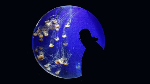 जलवायु परिवर्तन से होने वाले 6 बड़े बदलाव जो दुनिया देखेगी