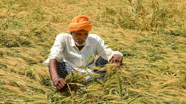 Exclusive: IPCC के वैज्ञानिक ने जताई चिंता, कहा संकट में भारतीय कृषि 