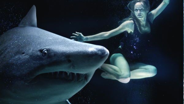 12 फीट लंबा Jaws मूवी वाला मॉन्स्टर शार्क दिखा, क्या ये इंसानों को खाते हैं जानिए सच