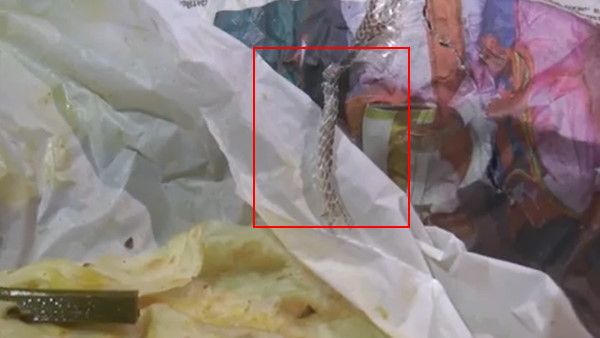 होटल के खाने के पैकेट में कैसे आ गई सांप की केंचुली, डिनर के लिए पैक कराकर लाई थी केरल की महिला