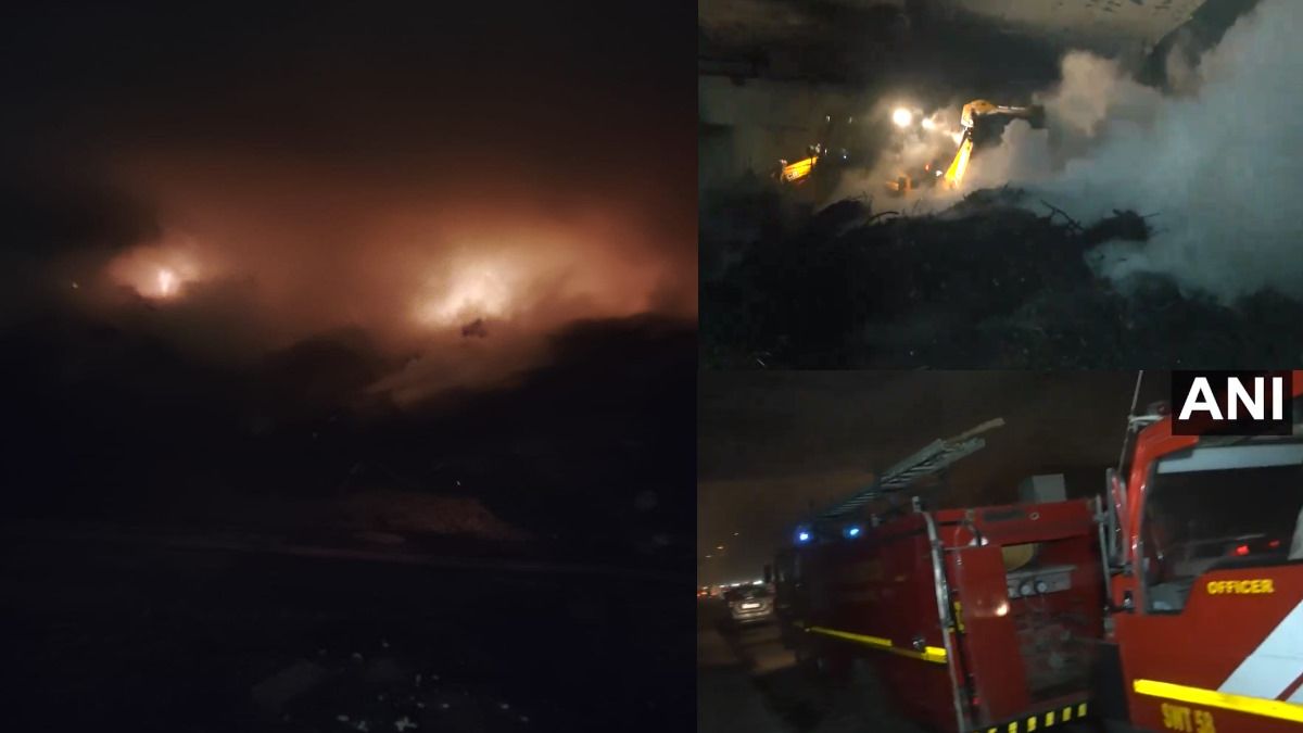 Delhi News: जंगलों में लगी भीषण आग, दमकल की कई गाड़ियां मौके पर.. यातायात पुलिस ने दी चेतावनी