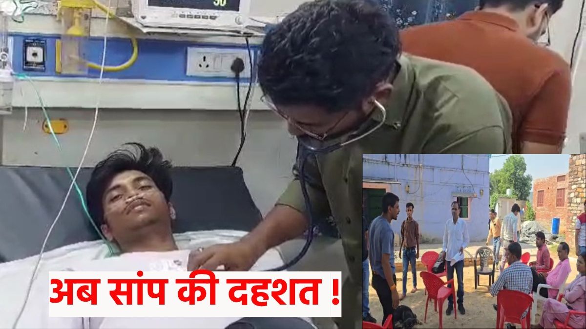 Rajasthan Snake News: करौली के मांची गांव में सांप का आतंक, एक ही परिवार के 5 लोगों को काटा, आगे क्या हुआ ?