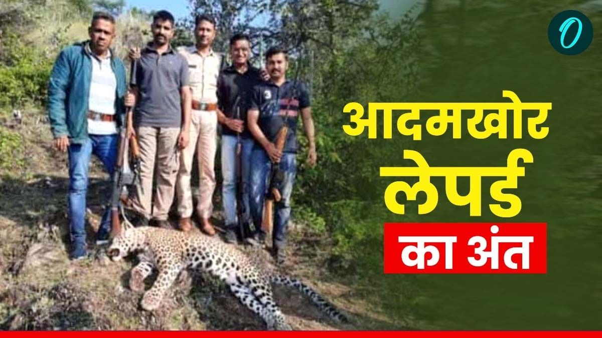 Udaipur Leopard News: आदमखोर लेपर्ड का ऐसे हुआ अंत, देखते ही गोली मारने के क्यों दिए थे आदेश ?