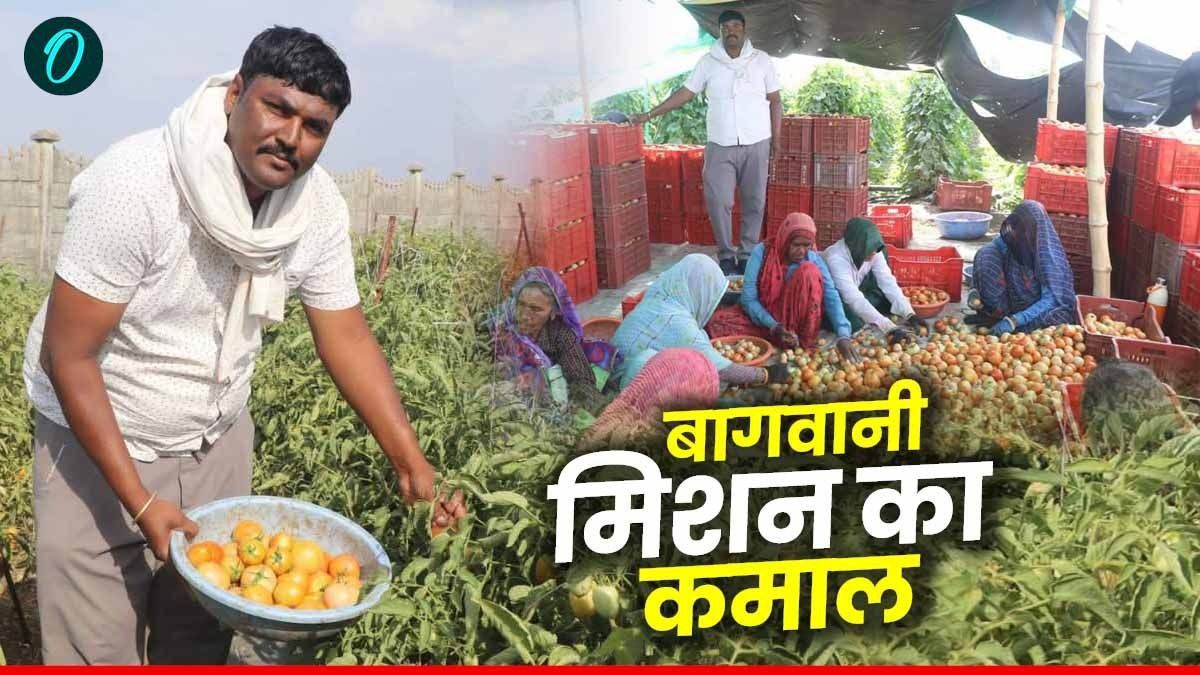 MP News: बागवानी मिशन से खुले किसानों की उन्नति के द्वार, फायदा को रहा लगातार 