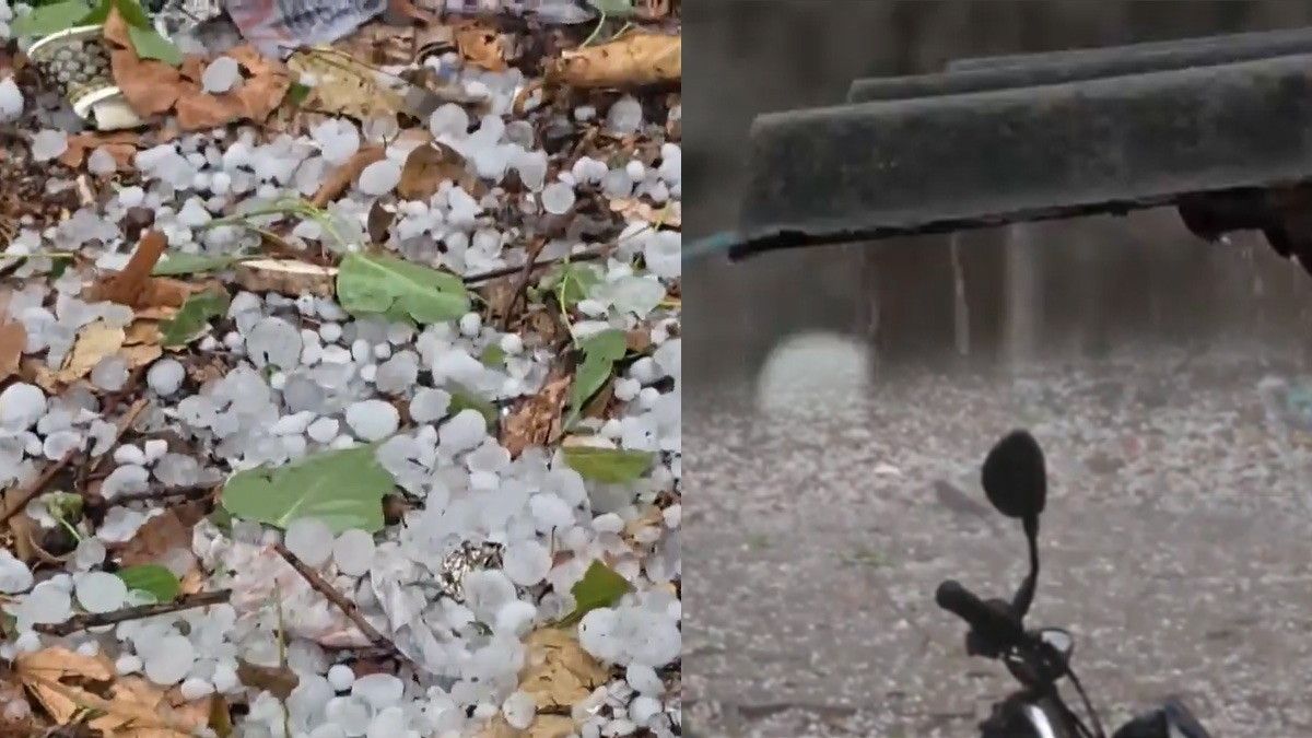 MP Weather: ग्वालियर में तेज बारिश के साथ 10 मिनट तक हुई ओलावृष्टि, IMD ने 45 जिलों के लिए जारी किया अलर्ट