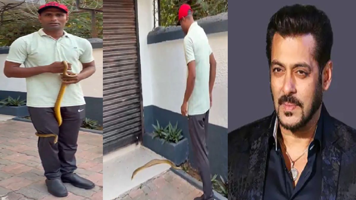 Salman Khan के घर में घुसा सांप, अपार्टमेंट में मची हलचल, लोग मजाक में बोले- लॉरेंस बिश्नोई आ गया