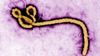 Bengaluru Woman Suspected Of Ebola Infection Tests Negative; No Confirmed Case In India Amid Africa Outbreak