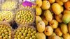 After 20 Years, Japan Halts Indian Mango Imports Over Concerns Linked To Fruit Fly Prevention Measures After 20 Years, Japan Halts Indian Mango Imports Over Concerns Linked To Fruit Fly Prevention Measures