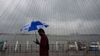 Kerala Rain Alert: Schools Shut in Kozhikode, Wayanad as IMD Issues Yellow Alert Across 11 Districts Kerala Rain Alert: Schools Shut in Kozhikode, Wayanad as IMD Issues Yellow Alert Across 11 Districts