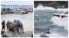 Vietnam Boat Accident: 2 From Andhra Dead; Lava Mobiles Staff Among Passengers Vietnam Boat Accident: 2 From Andhra Dead; Lava Mobiles Staff Among Passengers