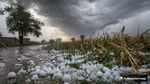 Rajasthan Weather: मरुधरा में बदला मौसम ने मिजाज! कहीं बारिश-कहीं हीटवेब का अटैक, 48 घंटों तक कैसा रहेगा हाल?