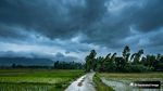Bihar Weather: पटना समेत 20 जिलों में आंधी-बारिश का येलो अलर्ट, IMD ने अगले 5 दिनों के लिए जारी की चेतावनी