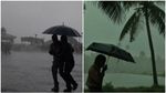 ഞായറാഴ്ച മഴ കനക്കും; 4 ജില്ലകളിൽ ശക്തമായ മഴയ്ക്ക് സാധ്യത, മുന്നറിയിപ്പ്..