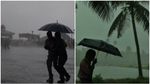 ചക്രവാതച്ചുഴി; 2 ദിവസം ഇടിമിന്നലോട് കൂടിയ മഴയ്ക്ക് സാധ്യത; ജനുവരിയിലും മഴയോ?