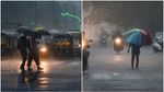 മഴ മാറിയില്ല; വെള്ളിയാഴ്ച ശക്തമായ മഴയ്ക്ക് സാധ്യത; ഈ ജില്ലകളിൽ യെല്ലോ അലർട്ട്