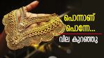 സ്വർണം ഇന്ന് തന്നെ വാങ്ങിക്കോളൂ, പവന് വീണ്ടും വില കുറഞ്ഞു; ഇതാണ് അവസരം