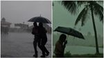 വേനൽ മഴ ശക്തമാകുന്നു; ഏപ്രിൽ രണ്ടിന് മൂന്ന് ജില്ലകളിൽ ശക്തമായ മഴ, യെല്ലോ അലർട്ട്