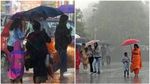 മഴ കനക്കും, നാല് ജില്ലകളിൽ‌ യെല്ലോ അലർ‌ട്ട്; വെള്ളിയാഴ്ച വരെ ഇടിമിന്നലോട് കൂടിയ മഴ, മുന്നറിയിപ്പ്.