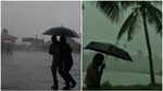നാളെ ശക്തമായ മഴ; രണ്ട് ജില്ലകളിൽ യെല്ലോ അലേർട്ട്, ഇടിമിന്നലോട് കൂടിയ മഴയ്ക്ക് സാധ്യത..