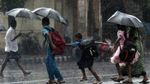 മൂന്ന് ജില്ലകളിലെ വിദ്യാഭ്യാസ സ്ഥാപനങ്ങൾക്ക് ശനിയാഴ്ച അവധി; നാളെ സംസ്ഥാനത്ത് യെല്ലോ അലർട്ട്