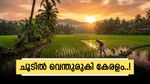 കേരളത്തിൽ ഇന്നും അത്യുഷ്‌ണ മുന്നറിയിപ്പ്, കനത്ത ജാഗ്രത; ചൂടിന് വിട നൽകി നാളെ മുതൽ വേനൽ മഴയെത്തും!