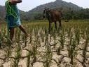 Iraq crisis, EL Nino a challenge in front of Modi Government