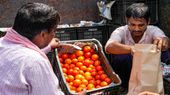 Don't Eat Tomatoes, Grow Them At Home: Uttar Pradesh Minister's Advise Amid Price Hike