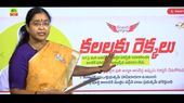 Andhra Pradesh: TDP-JSP's Flagship ‘Kalalaku Rekkalu' Scheme, What Is This All About