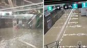 Mumbai's 'Aqua Line'? Newly-Opened Worli Metro Station Flooded As Early Monsoon Batters Maximum City | WATCH