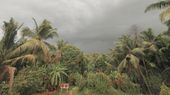 Bengaluru Weather: IMD Warns of Thunderstorm Till May 14 As Rain, Gusty Winds Set To Cool City This Week