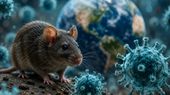 Hantavirus Cases Worldwide: Full List of Countries Reporting Deadly Infections 