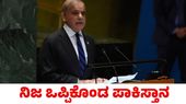  ನಮ್ಮ ವಾಯುನೆಲೆಗಳ ಮೇಲೆ ಭಾರತ ಬ್ರಹ್ಮೋಸ್‌ ದಾಳಿ ನಡೆಸಿದೆ; ಕೊನೆಗೂ ಒಪ್ಪಿಕೊಂಡ ಪಾಕಿಸ್ತಾನ ಪ್ರಧಾನಿ 