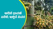 Arecanut Price: ದಾವಣಗೆರೆ ಮಾರುಕಟ್ಟೆಯಲ್ಲಿ ರಾಶಿ ಅಡಿಕೆ ಧಾರಣೆ ಭರ್ಜರಿ ಏರಿಕೆ: ಇಲ್ಲಿದೆ ಮಾರ್ಚ್ 30ರ ದರಪಟ್ಟಿ  