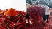 Byadgi Chilli Market: ಬ್ಯಾಡಗಿ ಮೆಣಸಿನಕಾಯಿ ಮಾರುಕಟ್ಟೆ ಮೇಲೆ ಯುದ್ಧದ ಪ್ರಭಾವ, ರಫ್ತು ಸ್ಥಗಿತ