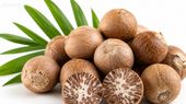 Arecanut Price Today: ಶಿವಮೊಗ್ಗ ಮಾರುಕಟ್ಟೆಯಲ್ಲಿ ಅಡಿಕೆ ಧಾರಣೆ ಎಷ್ಟಾಯ್ತು? ಇಲ್ಲಿದೆ ಜುಲೈ 22ರ ದರಪಟ್ಟಿ