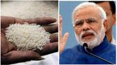 പാകിസ്താന്‍ വീണത് ഇന്ത്യയ്ക്ക് നേട്ടം; യുഎഇ വഴി ഒഴിവാക്കി നേരിട്ട് കച്ചവടം, ബസ്മതിക്ക് പുതിയ വിപണി