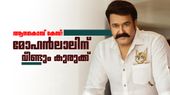 5 ജോഡി ആനക്കൊമ്പുകളും 13 ശില്പങ്ങളും; മോഹൻലാലിന്റെ ആനക്കൊമ്പ് ശേഖരത്തിൽ വീണ്ടും കുരുക്ക്